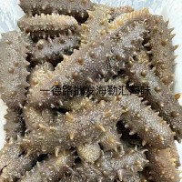 批發(fā)大連淡干海參大連刺參遼刺參大連遼參海參干貨泡發(fā)10倍優(yōu)質(zhì)