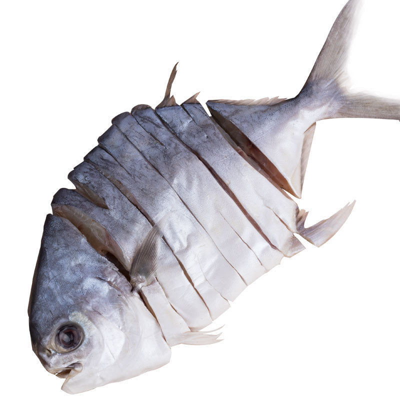 O1CN01pQRRwj1GAbc88w6b9_!!2220911040582-0-cib