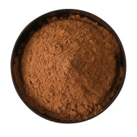 工廠直銷未堿化 可可粉100目 現(xiàn)貨散裝發(fā)貨500克起批發(fā)