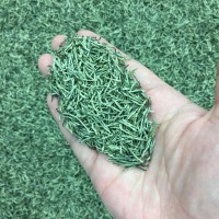 2026年新茶送禮云霧炒青散裝綠茶茶葉散批發信陽工藝御信尖毛尖茶