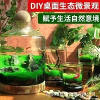 一件代發水草種子水草泥生態家用創意魚缸玻璃瓶水培植物四季造景
