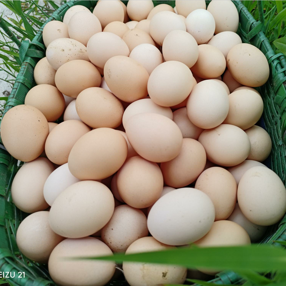 O1CN01nF8n7m2F0hXh0Hd9V_!!2218070548818-0-cib