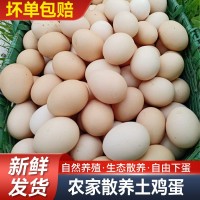 老母雞蛋皖南土雞蛋五谷喂養走地散養谷物蛋現撿速發順豐蟲草蛋