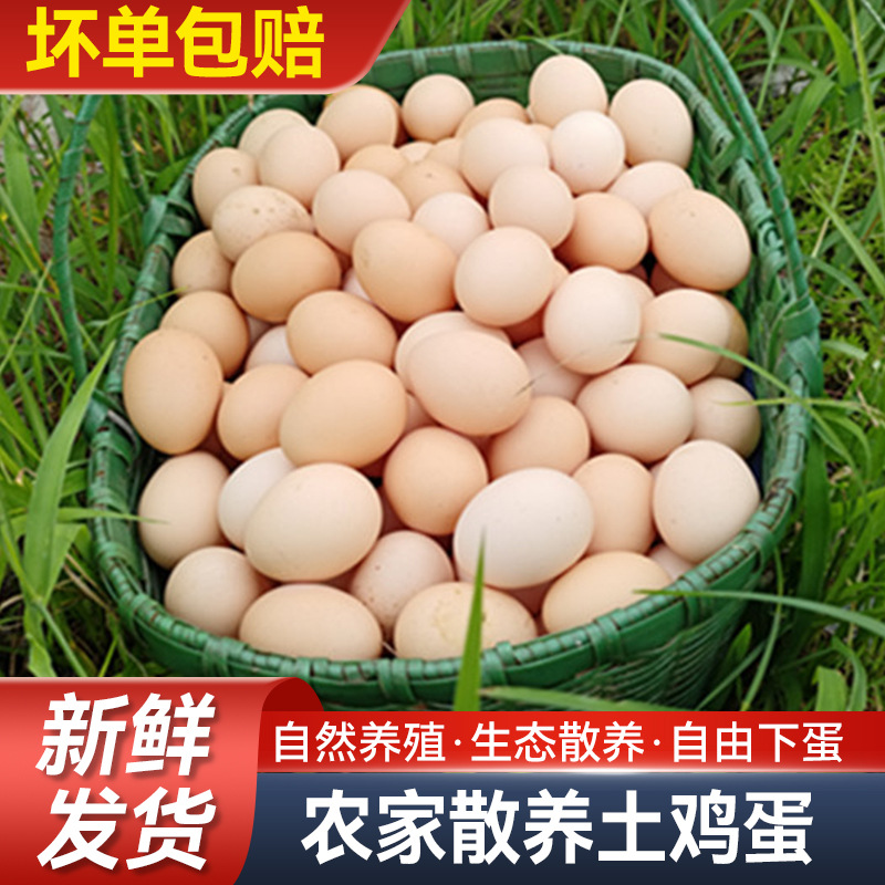 O1CN01IK8FBA2F0hUqMnjYp_!!2218070548818-0-cib (1)