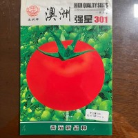 五洲牌澳洲強(qiáng)星301番茄種籽高產(chǎn)四季園林盆栽蔬菜種子電商批發(fā)