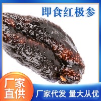 紅級參批發 紅極參北極紅參即食海參水產紅極參原貨500g 廠家直銷