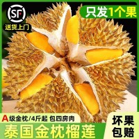 泰國金枕榴蓮新鮮10斤進口當季水果整果巴掌榴蓮肉一整個順豐包郵