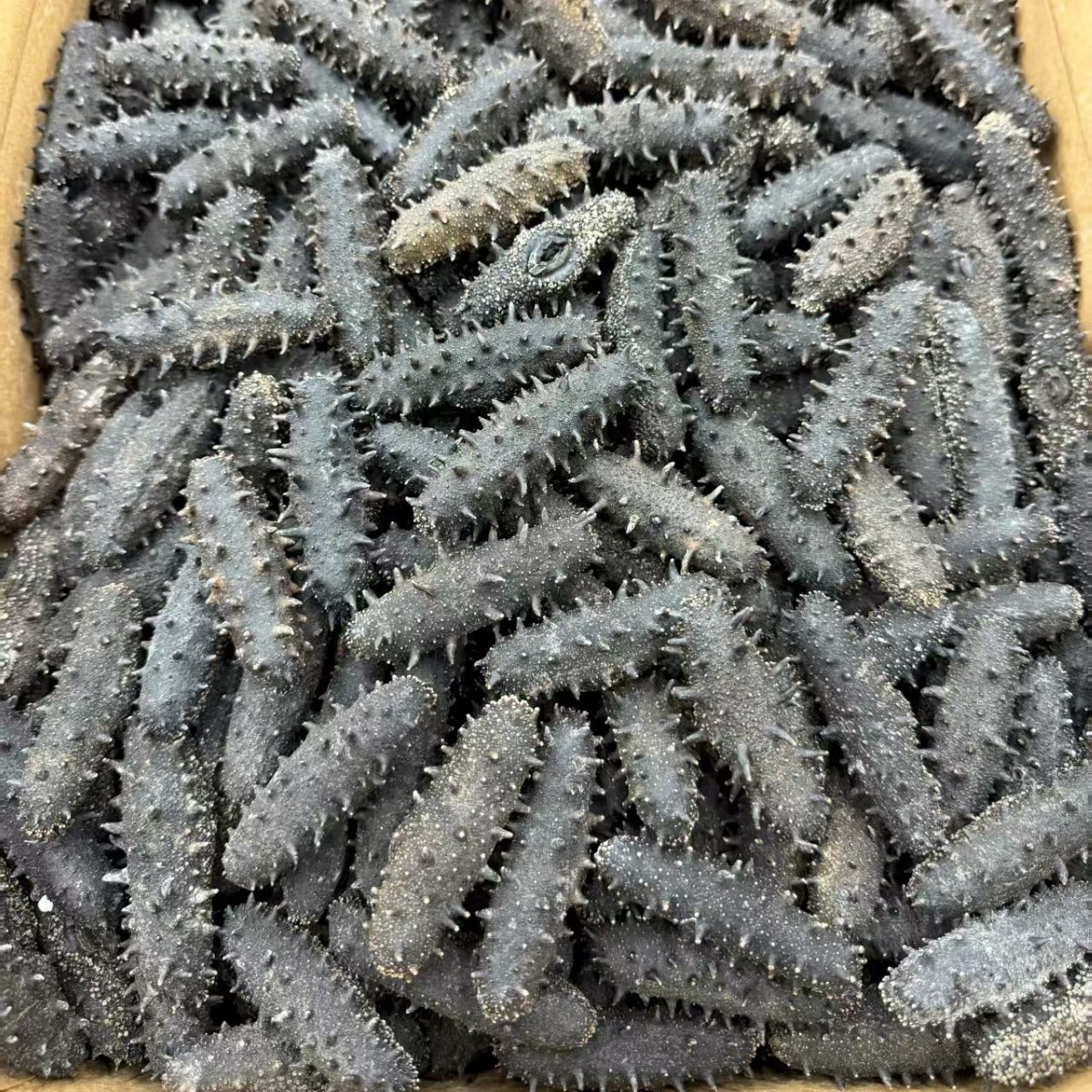 O1CN01haE0CG1LADLYbZG4J_!!2215520851258-0-cib