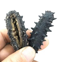 大連淡干海參50g刺參水產干貨批發廠家野生遼參禮盒裝開口海參