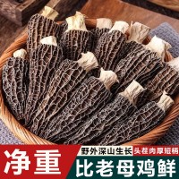 【無(wú)干燥劑發(fā)貨】羊肚菌新鮮干貨煲湯云南菌菇牛肚菌火鍋食材批發(fā)